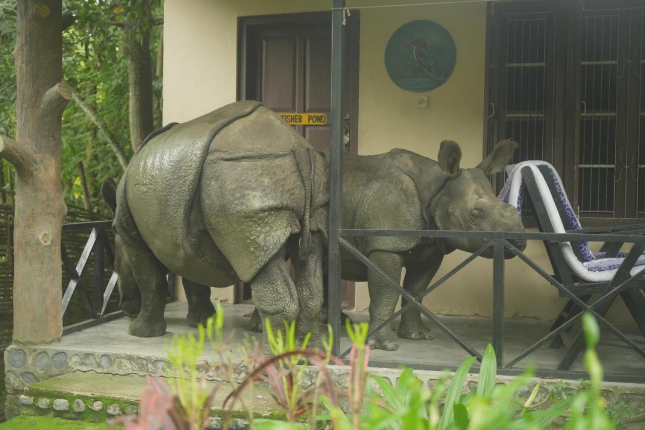 Chitwan Gaida Lodge - Animal Lovers & Birdwatchers Paradise Sauraha Buitenkant foto
