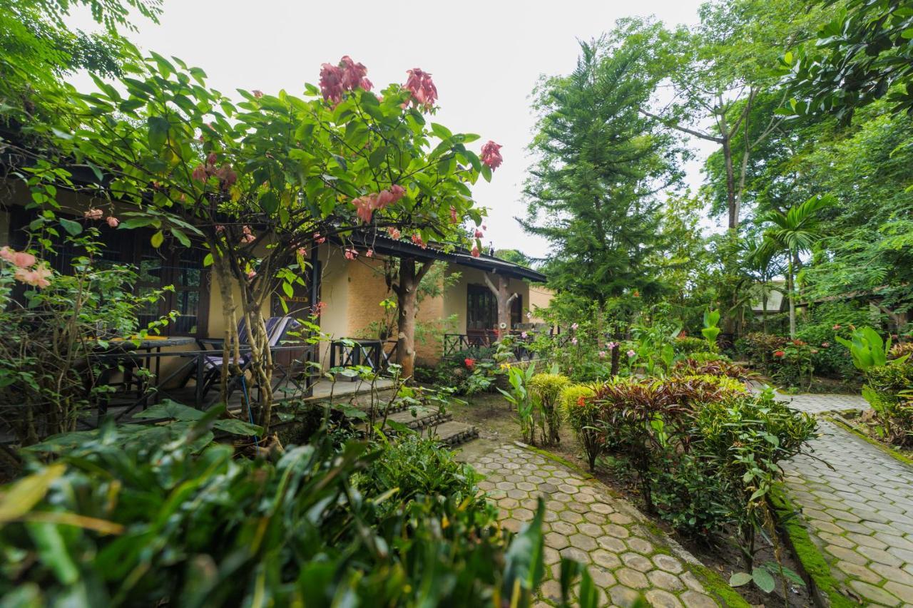 Chitwan Gaida Lodge - Animal Lovers & Birdwatchers Paradise Sauraha Buitenkant foto