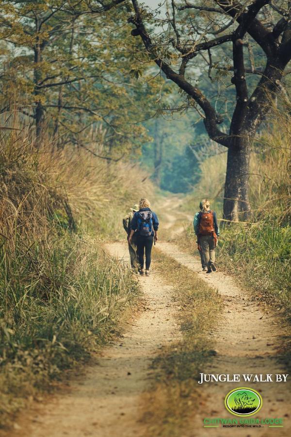 Chitwan Gaida Lodge - Animal Lovers & Birdwatchers Paradise Sauraha Buitenkant foto