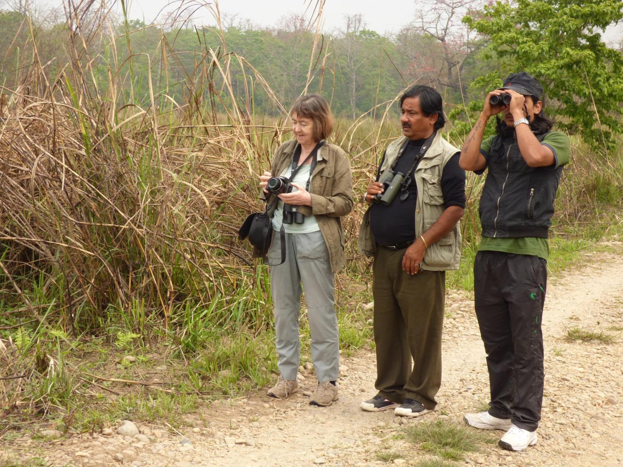 Chitwan Gaida Lodge - Animal Lovers & Birdwatchers Paradise Sauraha Buitenkant foto