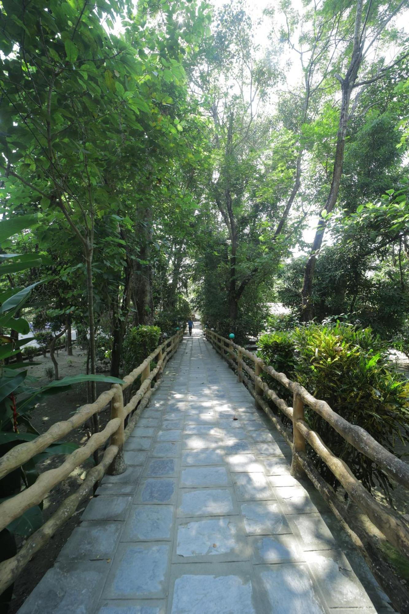 Chitwan Gaida Lodge - Animal Lovers & Birdwatchers Paradise Sauraha Buitenkant foto